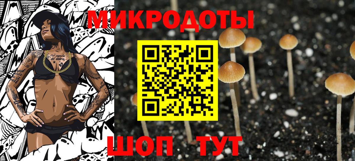 Псилоцибиновые грибы мухоморы Междуреченск