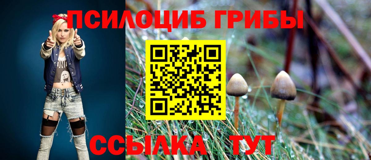 Междуреченск  Псилоцибиновые грибы ЛСД  Галлюциногенные грибы Magic Shrooms  Вход с VPN 
